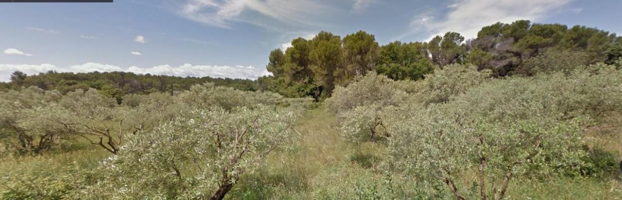 Bed and Breakfast La Bousquatiere Piolenc Exterior foto