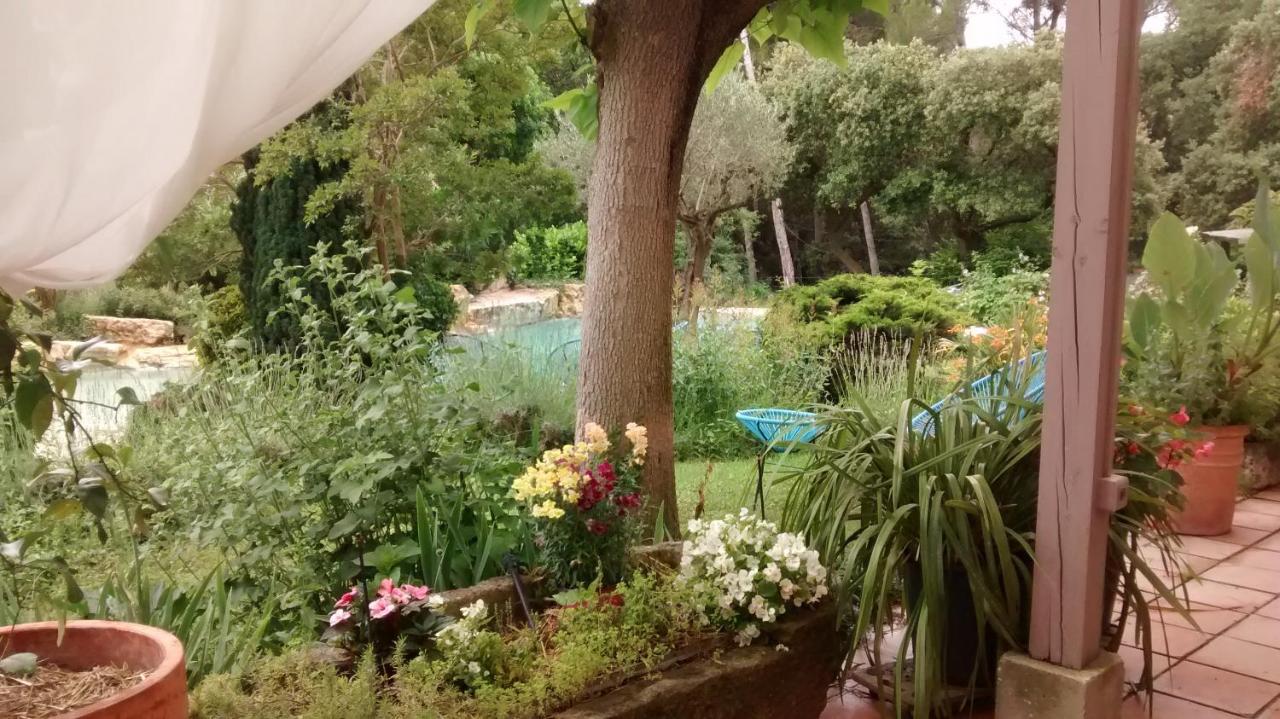 Bed and Breakfast La Bousquatiere Piolenc Exterior foto