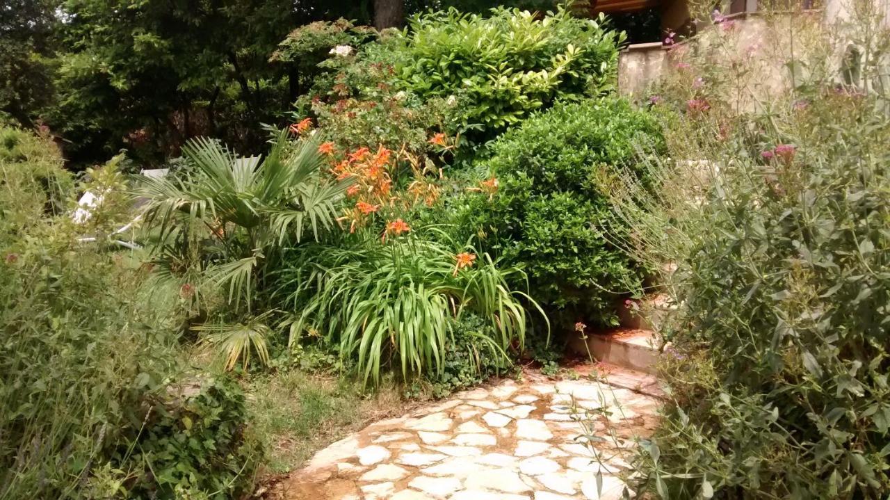 Bed and Breakfast La Bousquatiere Piolenc Exterior foto