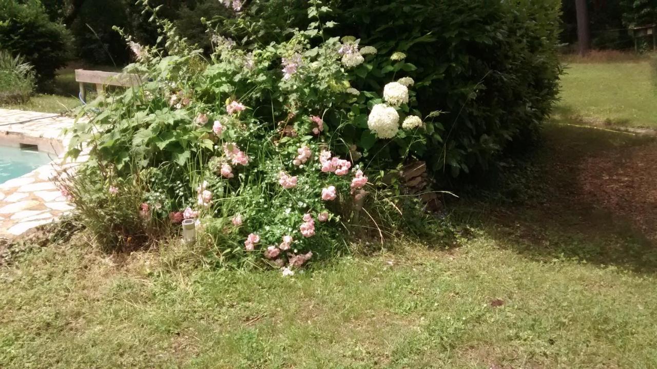 Bed and Breakfast La Bousquatiere Piolenc Exterior foto