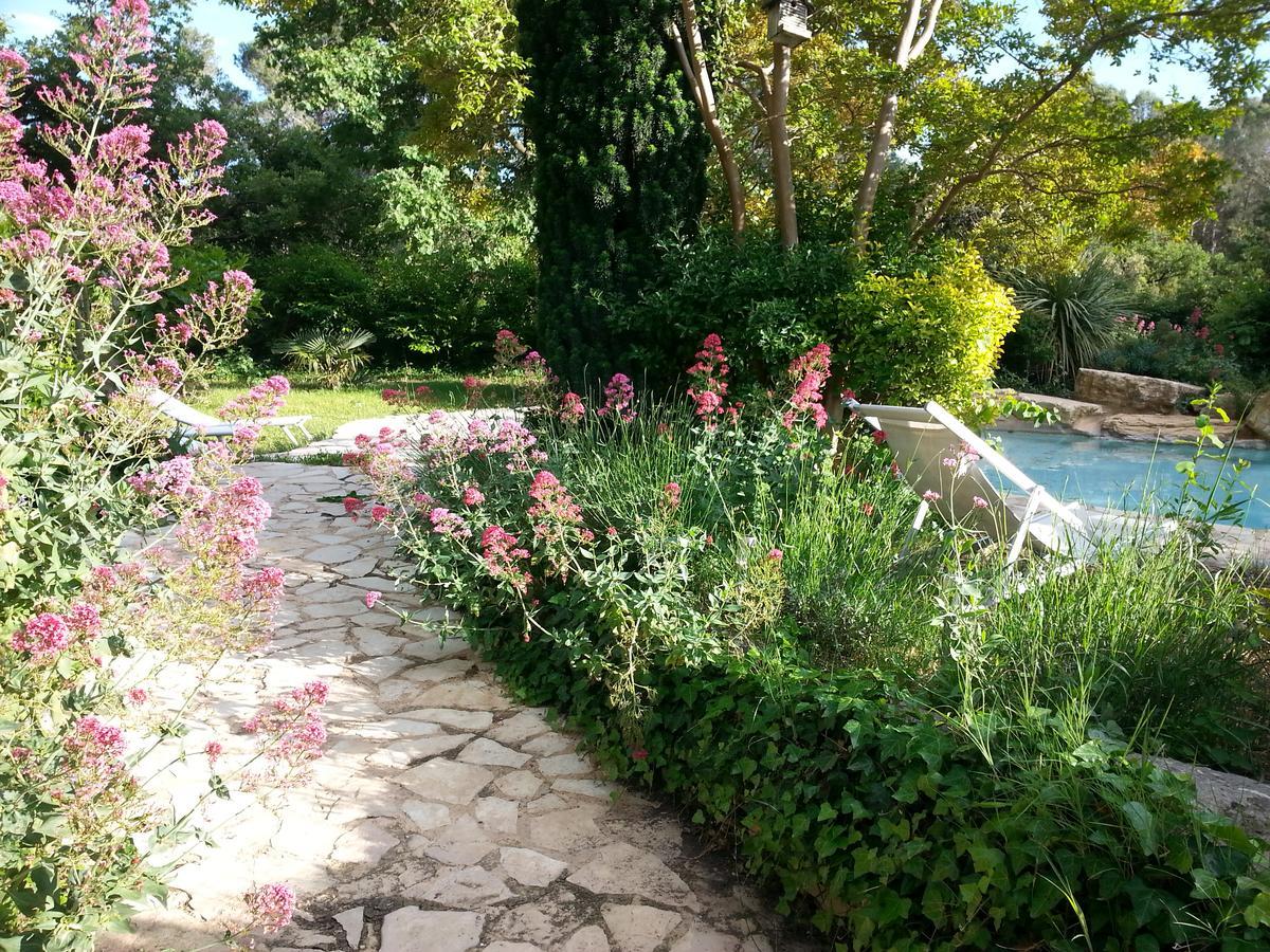 Bed and Breakfast La Bousquatiere Piolenc Exterior foto
